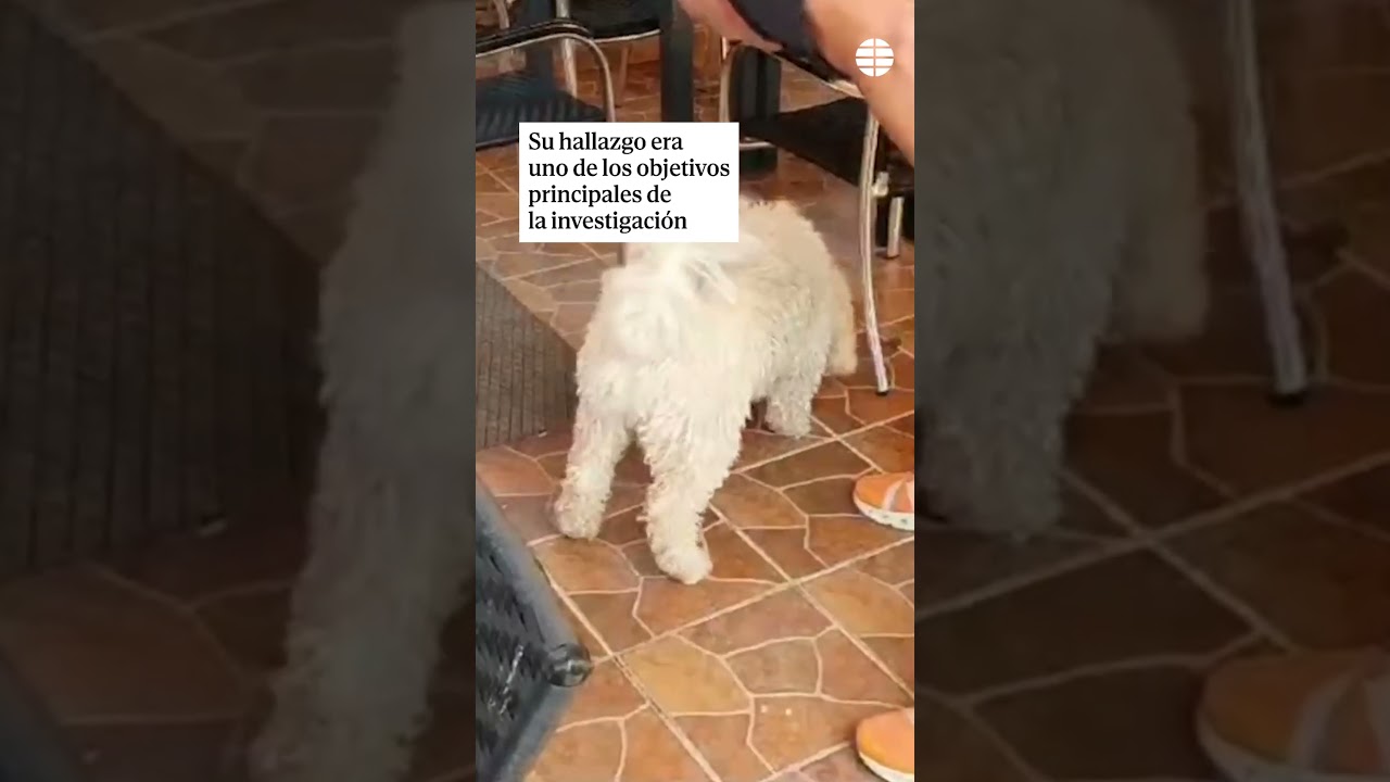 La Guardia Civil encuentra el cuchillo que 