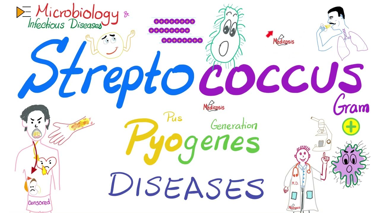 Заболевания, вызванные Streptococcus pyogenes | Микробиология и инфекционные заболевания 🧫