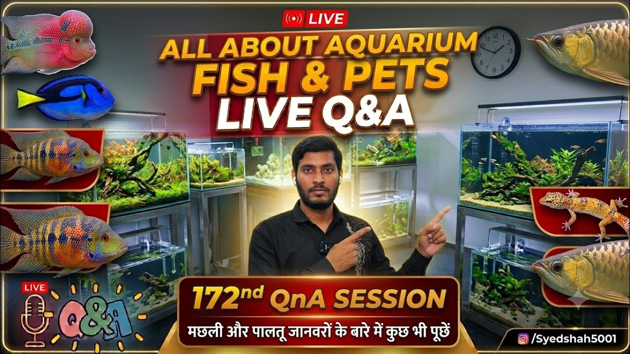 Ask anything about Fish and Pets Syed shah5001 is live
