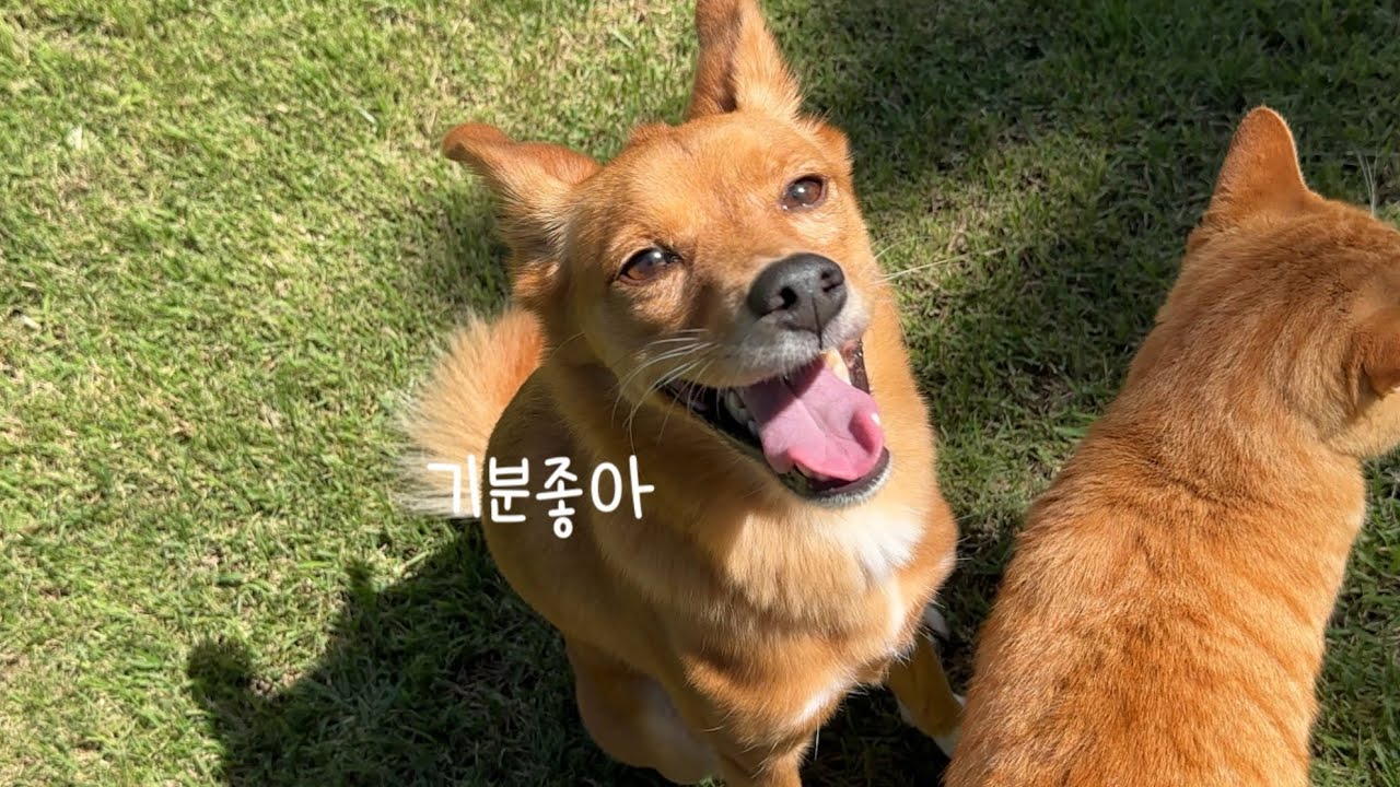 집나간 아빠가 돌아오면 생기는 일