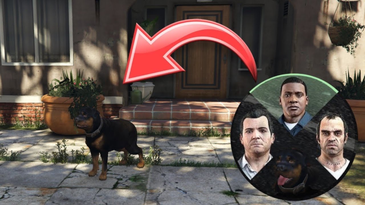 How To Unlock Chop In GTA 5 STORY MODE (PS4,PS5,XBOX)