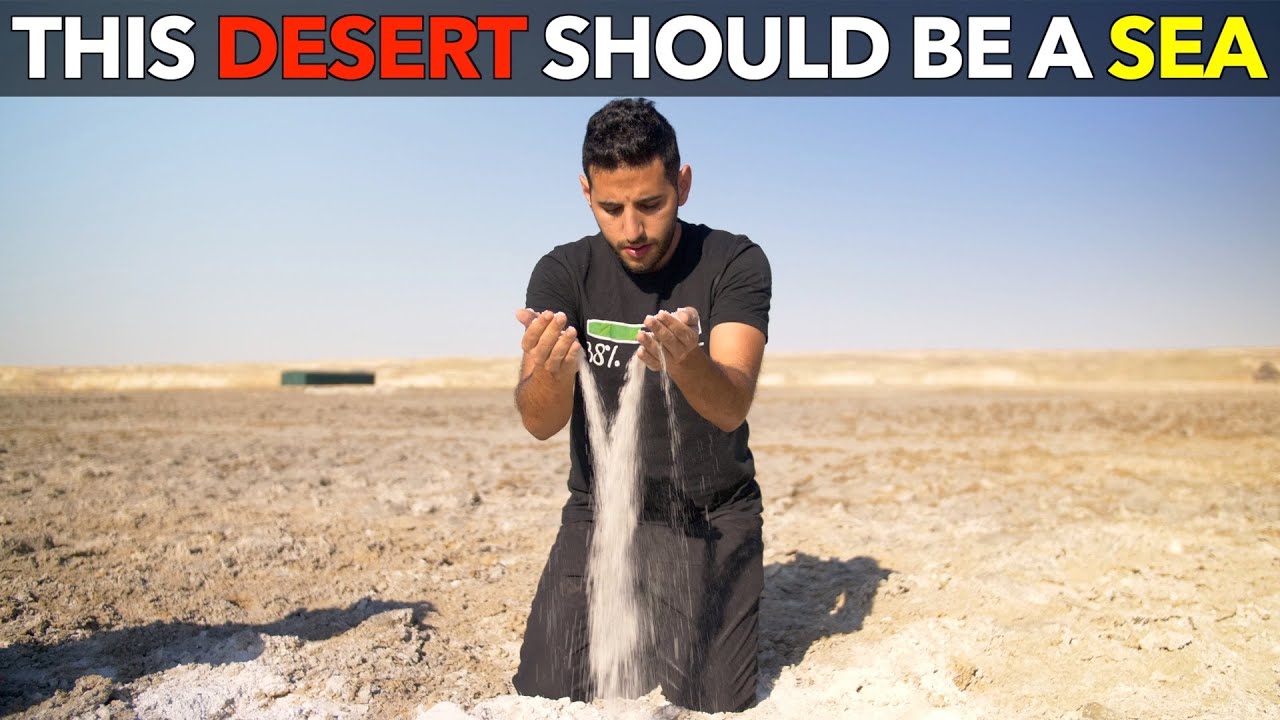 This Desert Should Be A Sea