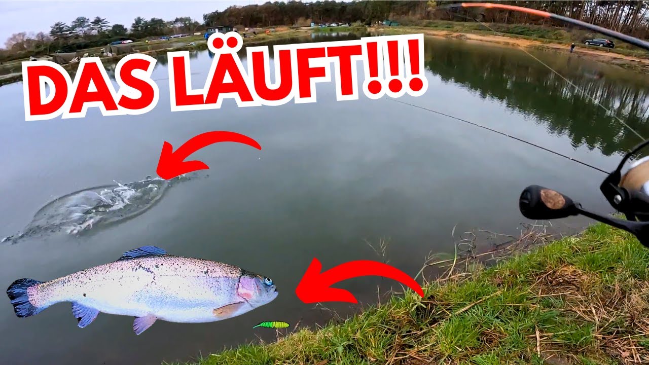 UL-Forellenangeln im Angelpark Thönse – Mit Gummi zum Erfolg auf Lachsforellen! 🎣 #troutfishing