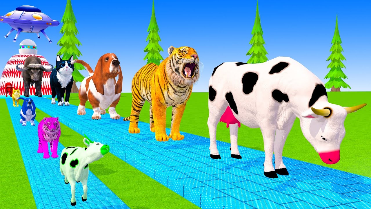 Long Slide Game With Cow Elephant Gorilla Hippopotamus Tiger 3d Animal Game Funny 3d Animals