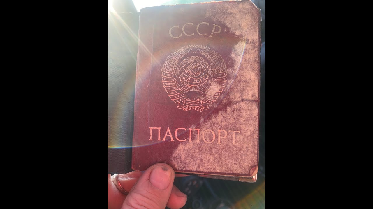НИНКА ЗОЛОТИНКА -поехали по Ромкиным  делам