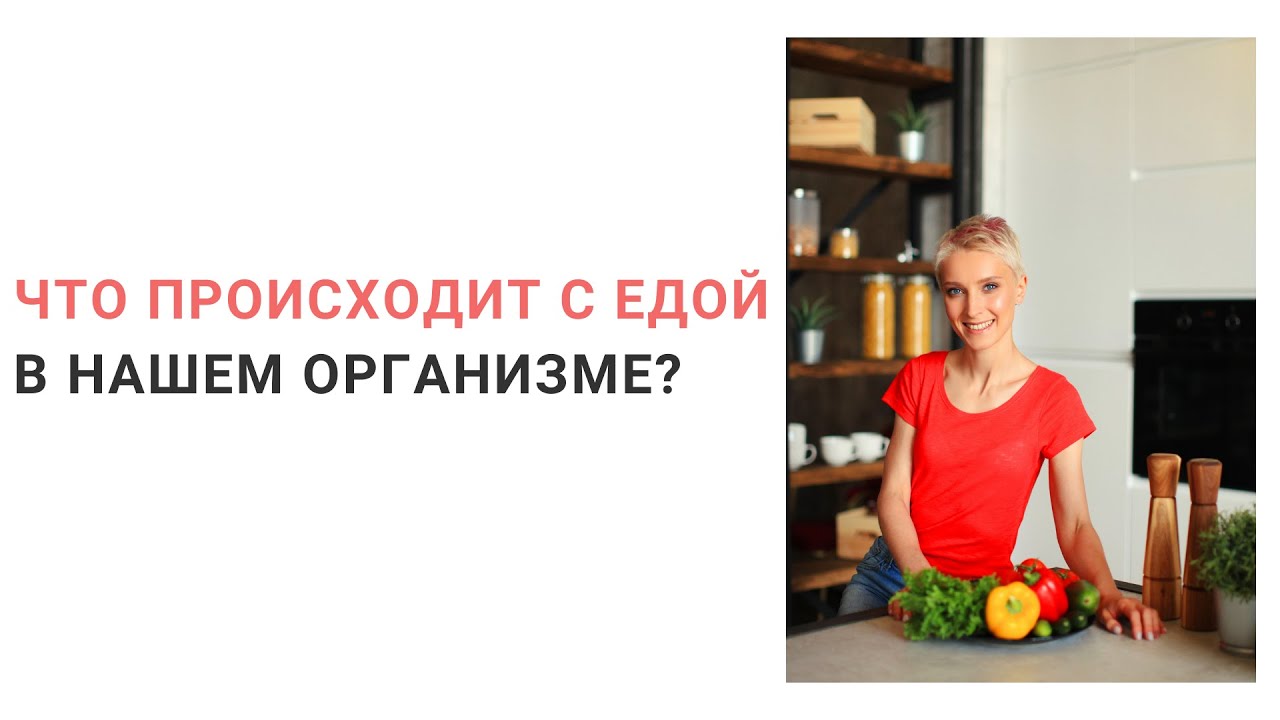 Переваривание и усвоение белка, жиров, углеводов. Физиология пищеварения. Этапы пищеварения.