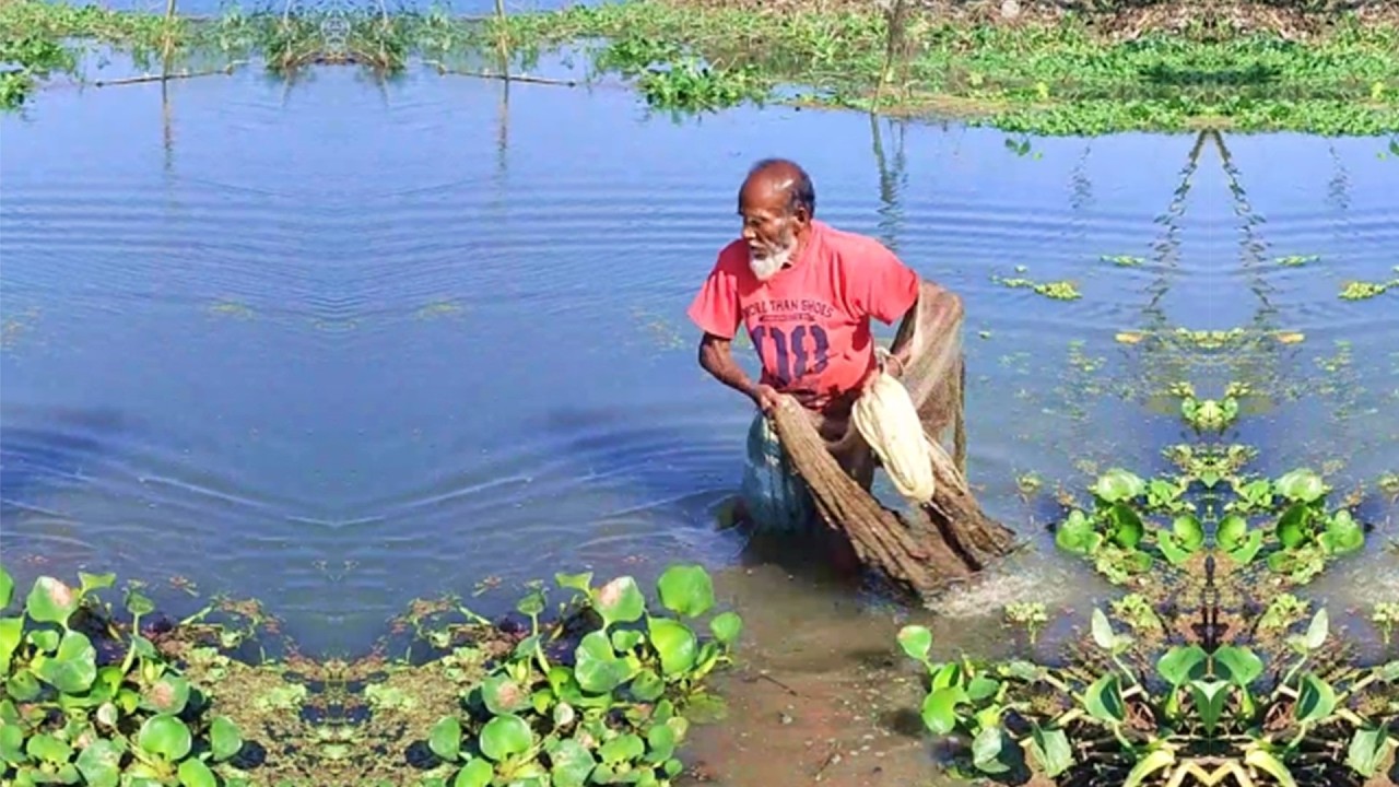 Fishing by Professional Poor Fisherman - Amazing Fish Hunting - Village Fishing Video