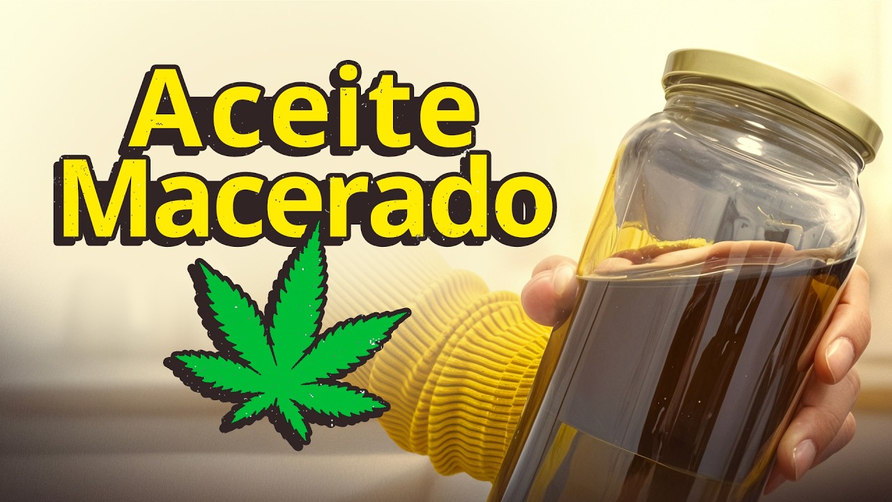 Hice un Macerado en Aceite de Oliva F&aacute;cil