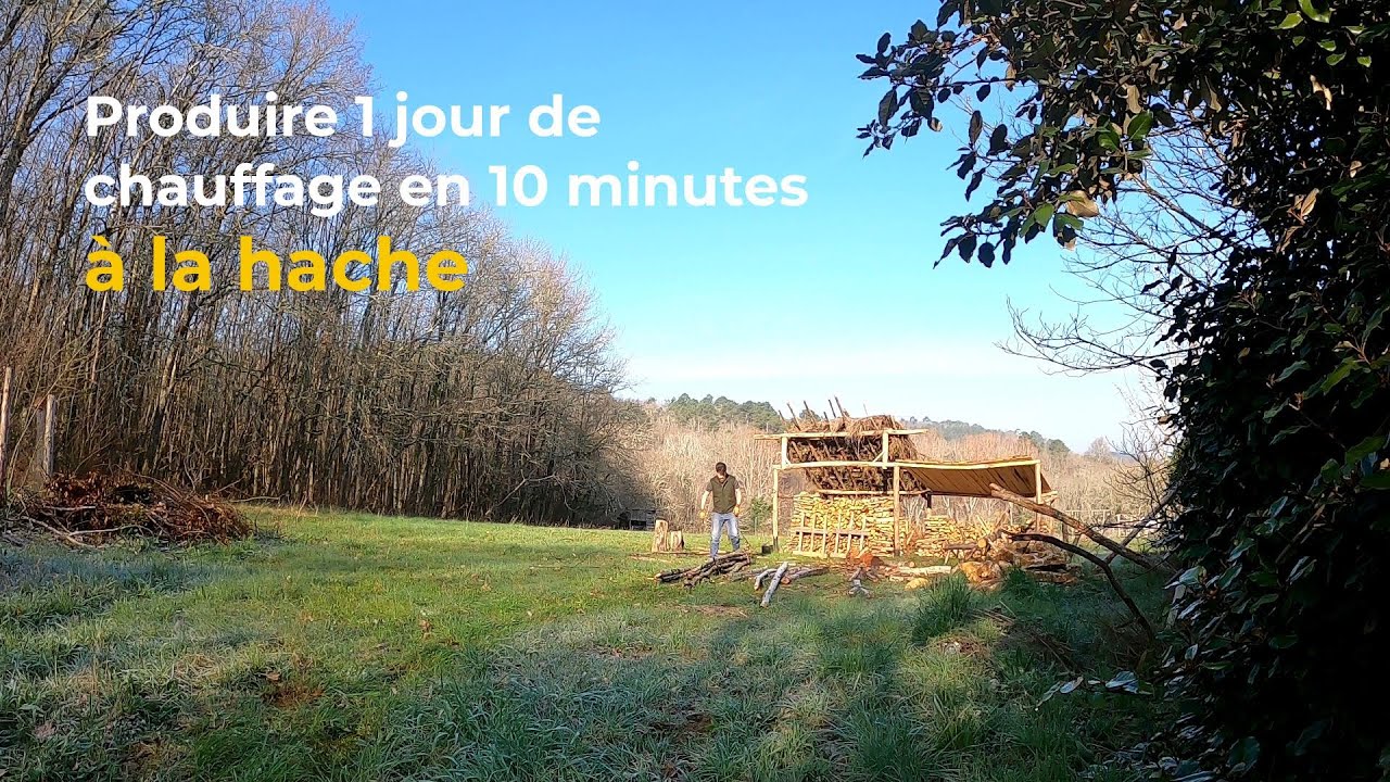 Autonomie énergétique : 1 jour de bois de chauffage en 10 minutes à la hache