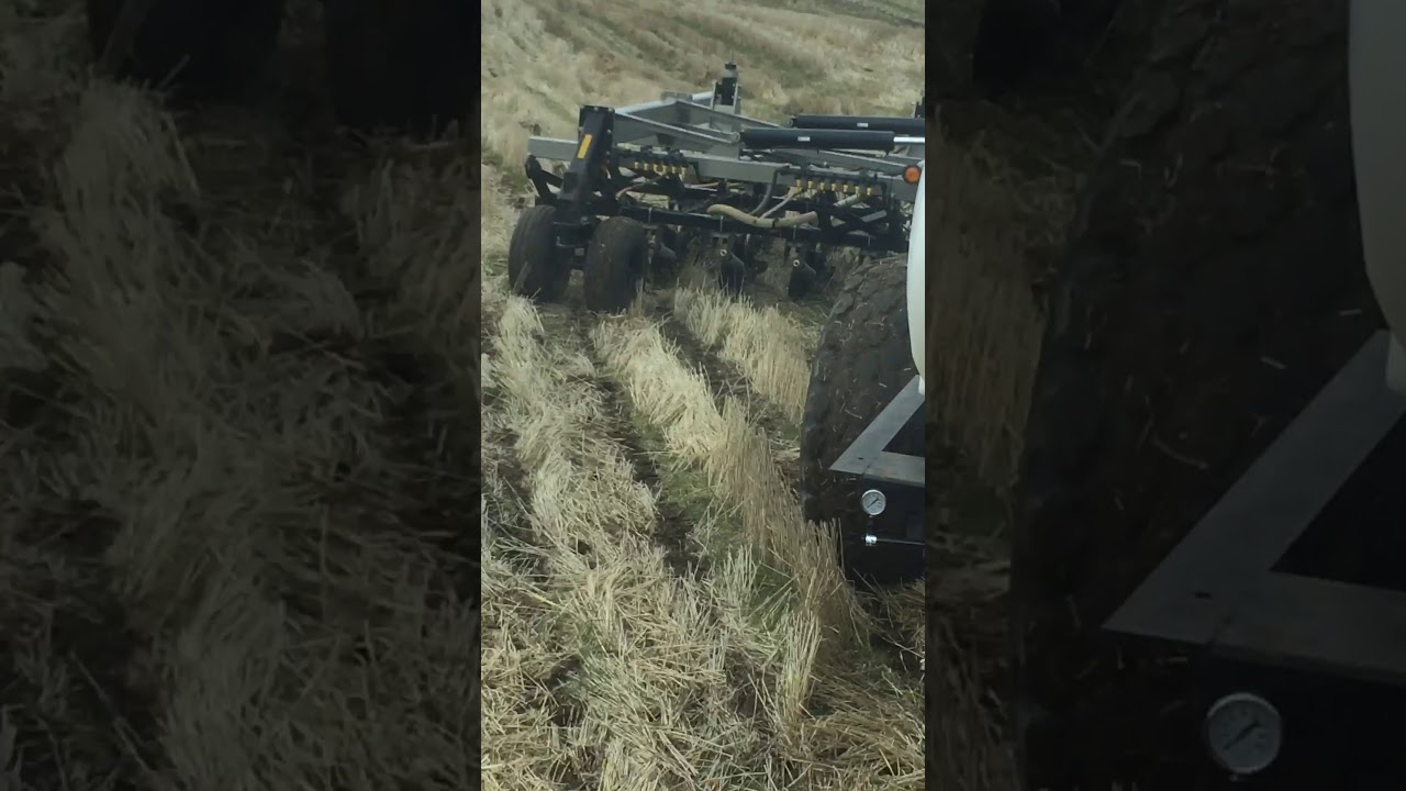 Seeding through 100-130 bushel wheat stubble Oregon Pillar laser disc