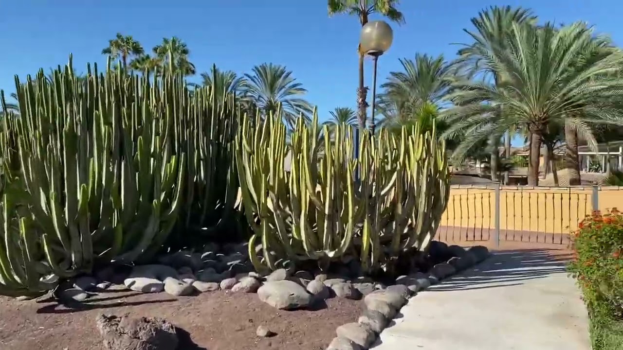 Dunas Suites & Villas Maspalomas/Gran Canaria