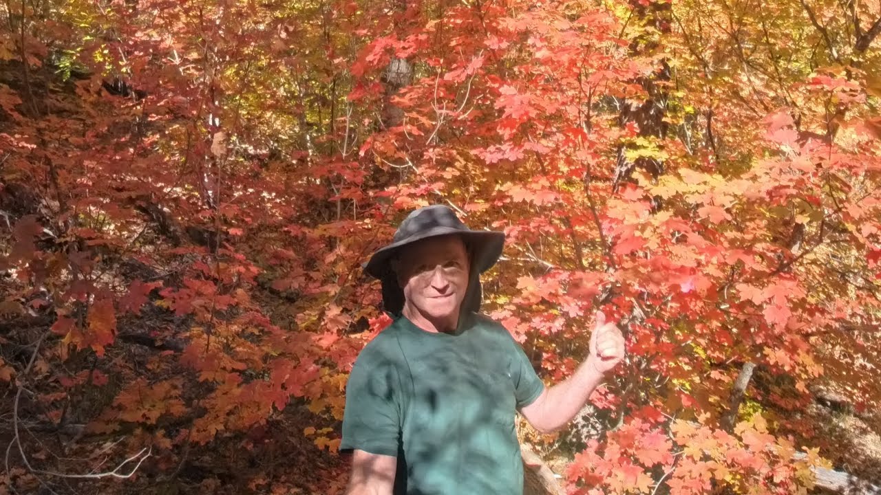Поход Old Guys Hike 181. Осенняя листва, тропа West Fork Trail, Седона, Аризона, 21 октября 2025 ...