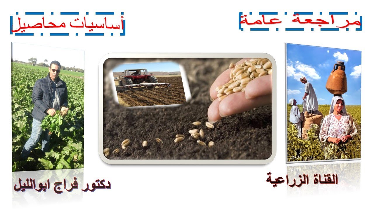 المراجعة الأولي /أساسيات محاصيل