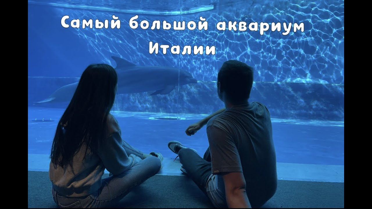 Самый большой аквариум Италии 🇮🇹 Acquario di Genova
