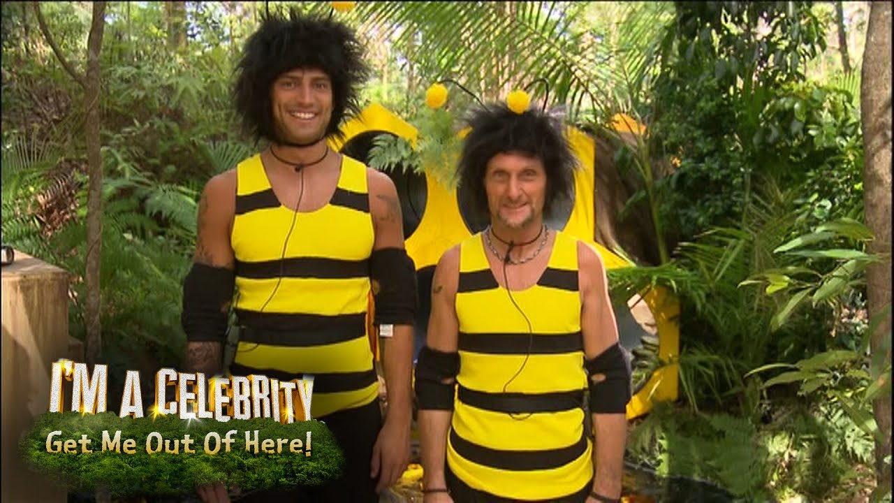 Jake & Foggy Are Busy Bee's | I'm A Celebrity... Get Me Out Of Here!