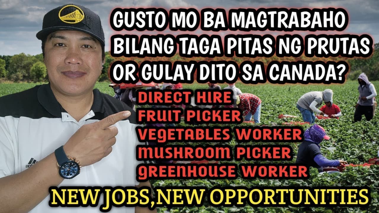 PAANO MAG APPLY NG FRUIT PICKER SA CANADA? | LATEST JOBS IN CANADA | NEW JOBS,NEW OPPORTUNITIES