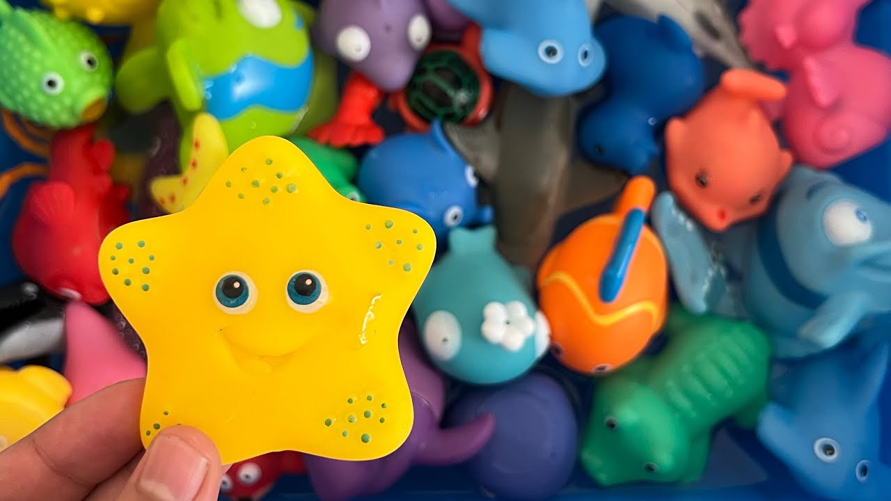 Sea Animal Toys Video for Kids: Learn fun facts and Play with Whales, Sharks, Dolphins, and More!