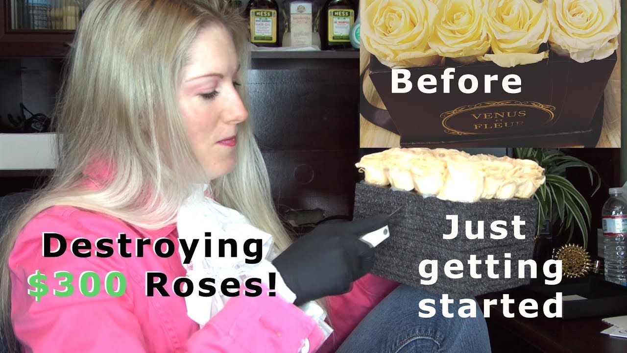 I reviewed and destroyed $300 dollar Venus Et Fleur Eternity Roses