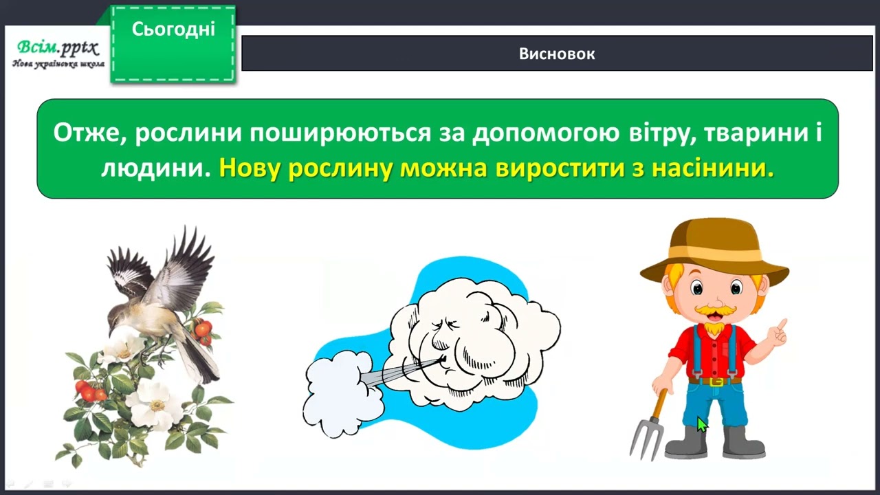 Як розмножуються рослини?