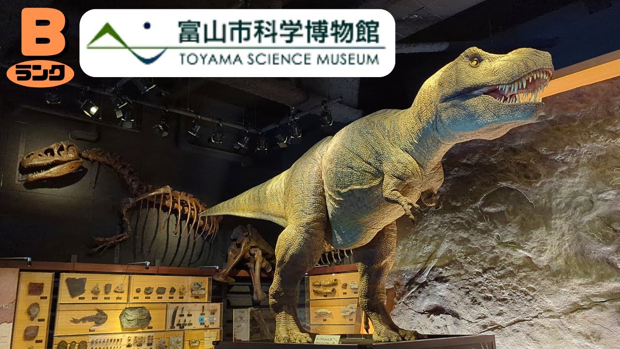 【古生物スポット】富山市科学博物館