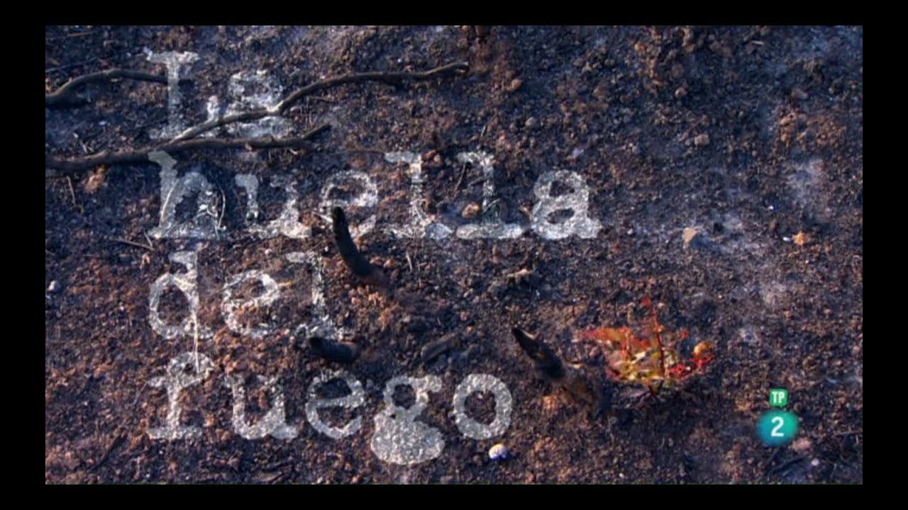 Crónicas (TVE) - La huella del Fuego