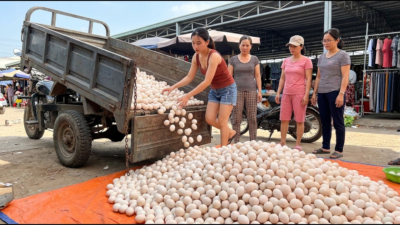 CEO's Farm-to-Market Egg Empire!