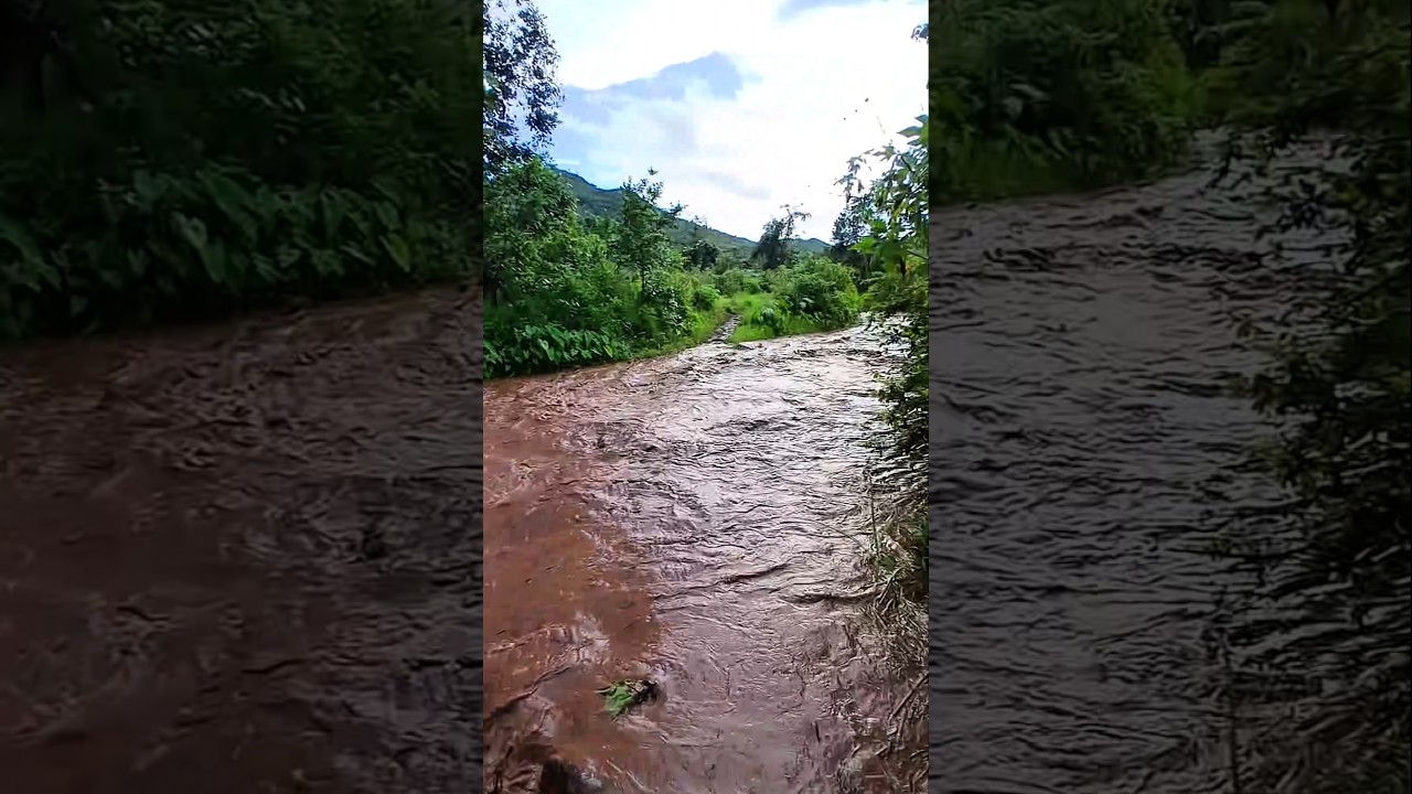 Floodwaters came while we were working #field #videoshorts