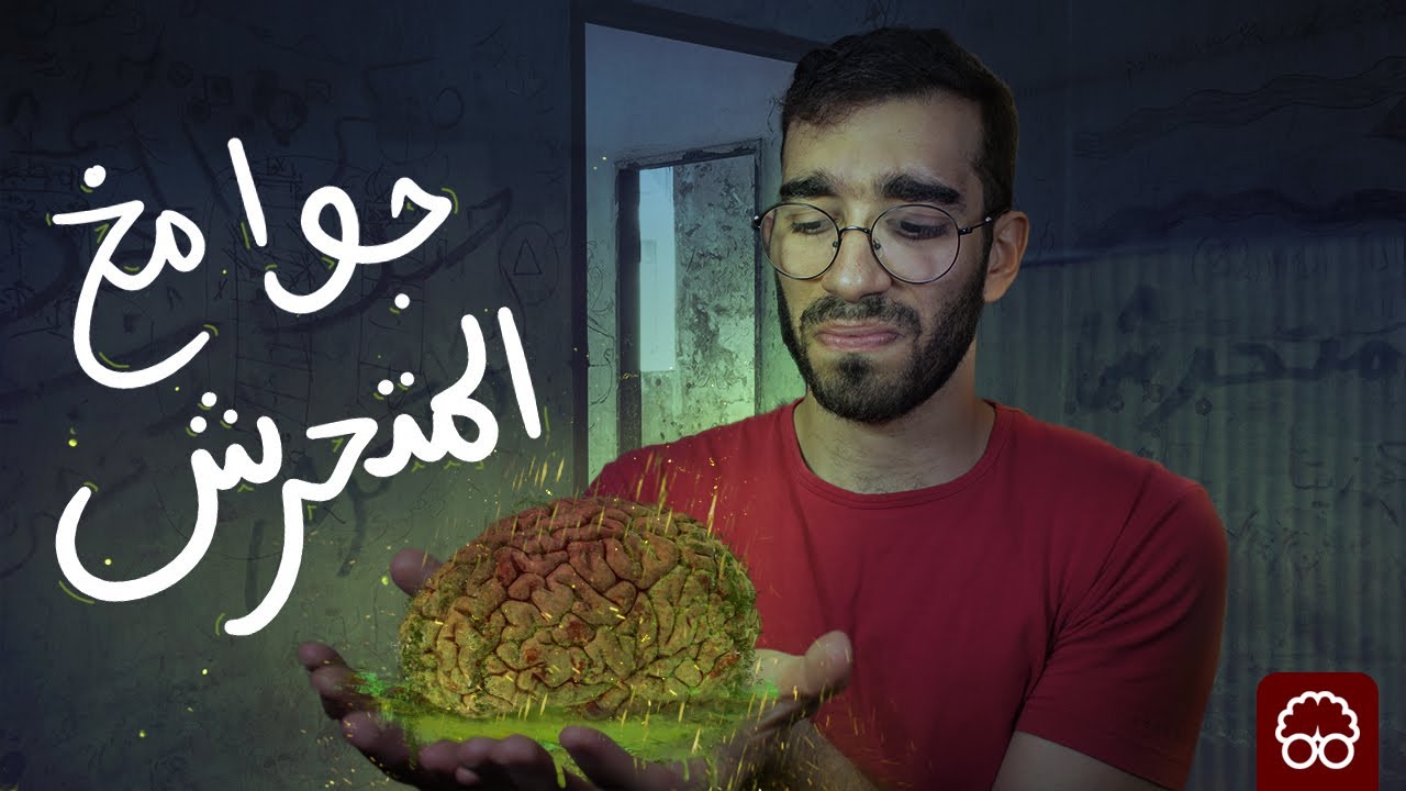 جوا مخ المتحرش - ايجيكولوجي