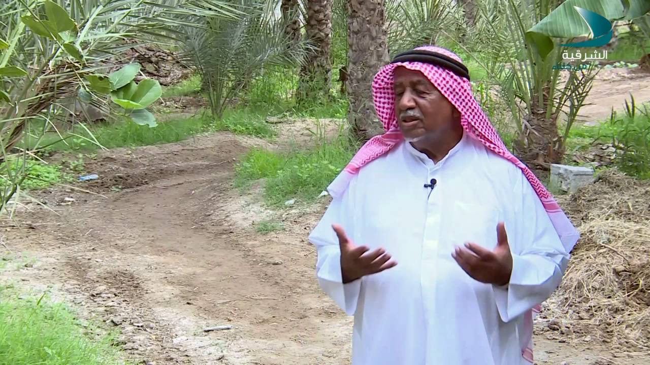 قناة الشرقية من كلباء / الذهب الأخضر / مزرعة عبدالله راشد النقبي في منطقة الؤلؤية - الجزء2