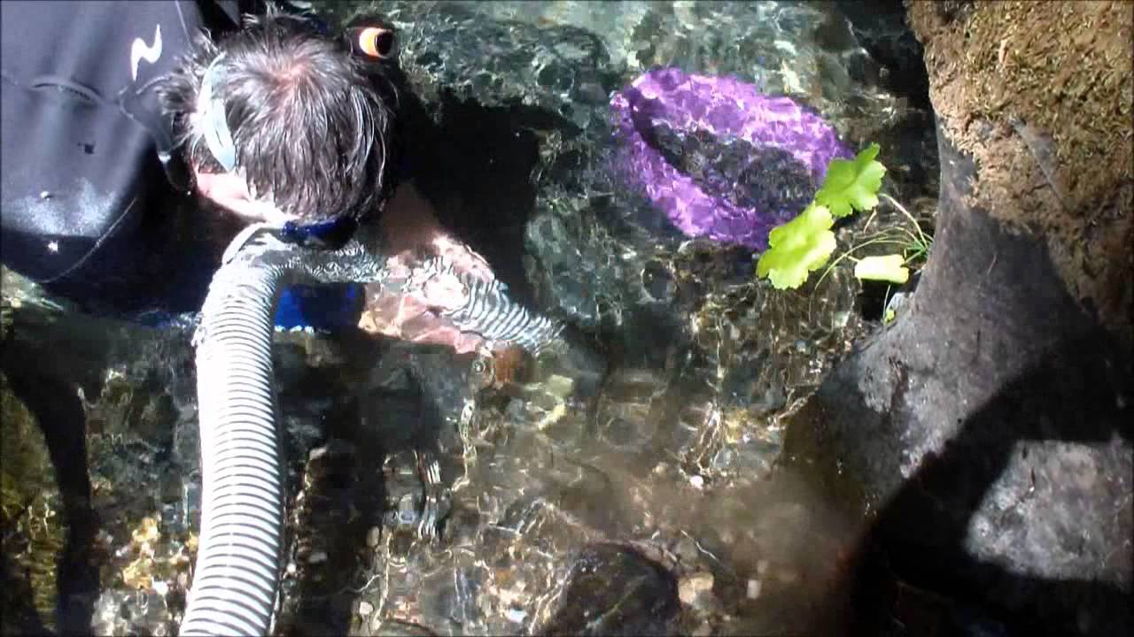 Gravity Dredging, The Hunt Continues