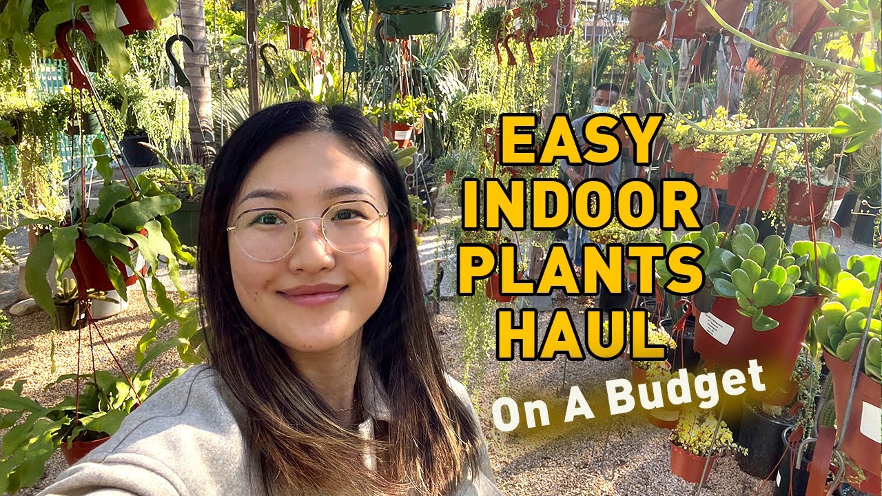 Plant Shopping With Me & Style My Houseplants | Jolene Foliage