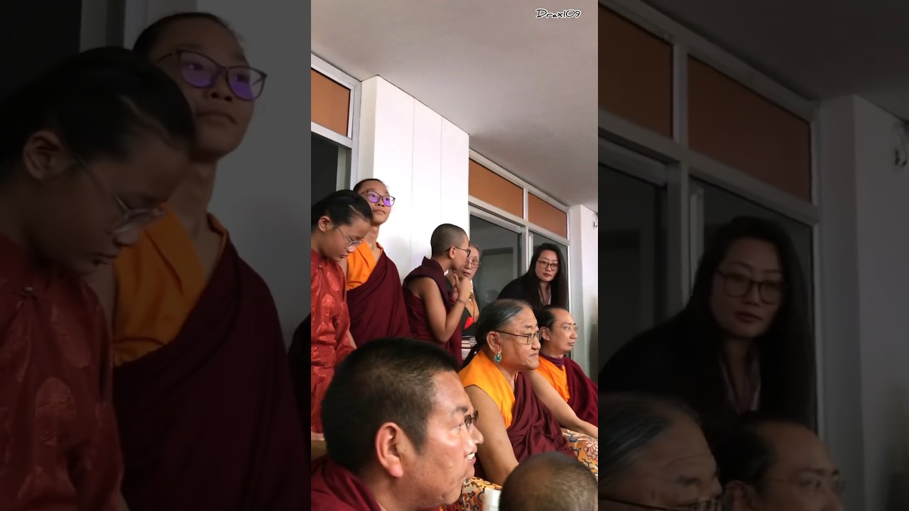 Sakya Gomang Rinpoche Khenno 🙏 #shorts #himalayanbuddhistmonks #ytshorts