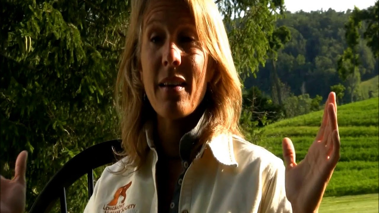 Part 3 of 3: Playgroups Interview w/ Aimee Sadler