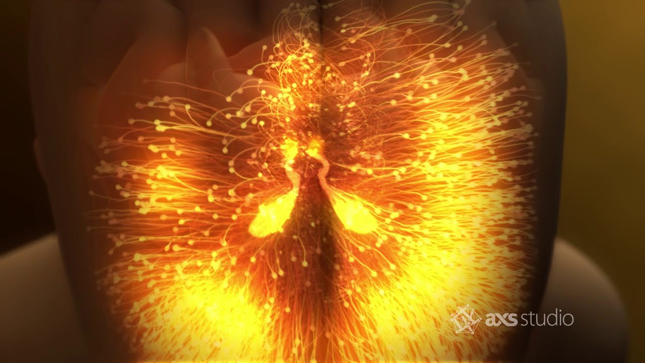 Scientific Animation Showreel 2011 | AXS Studio