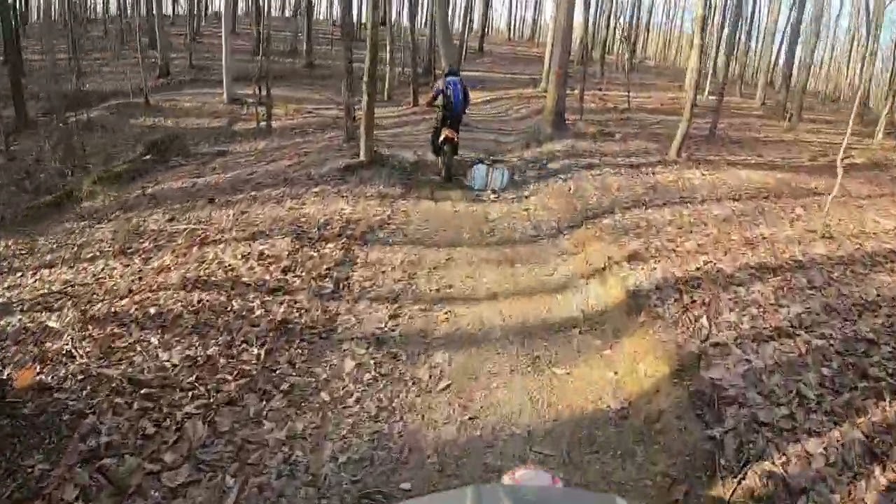 S Tree Day 1, Michael's POV