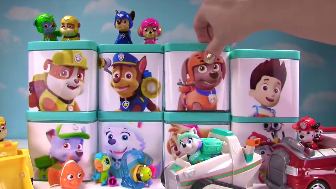 Fizzy Has a Fun Surprise Blind Box Show