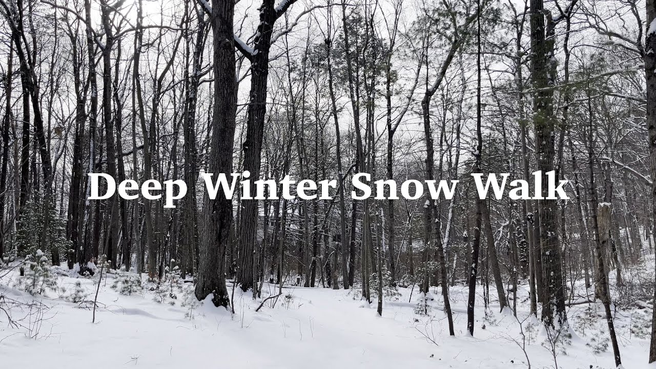 4K Deep Snow Forest Walk | Crunching Footsteps & Silent Winter Woods | Relaxing Nature Walk