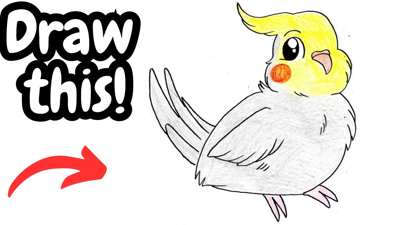 How to Draw a Cockatiel!