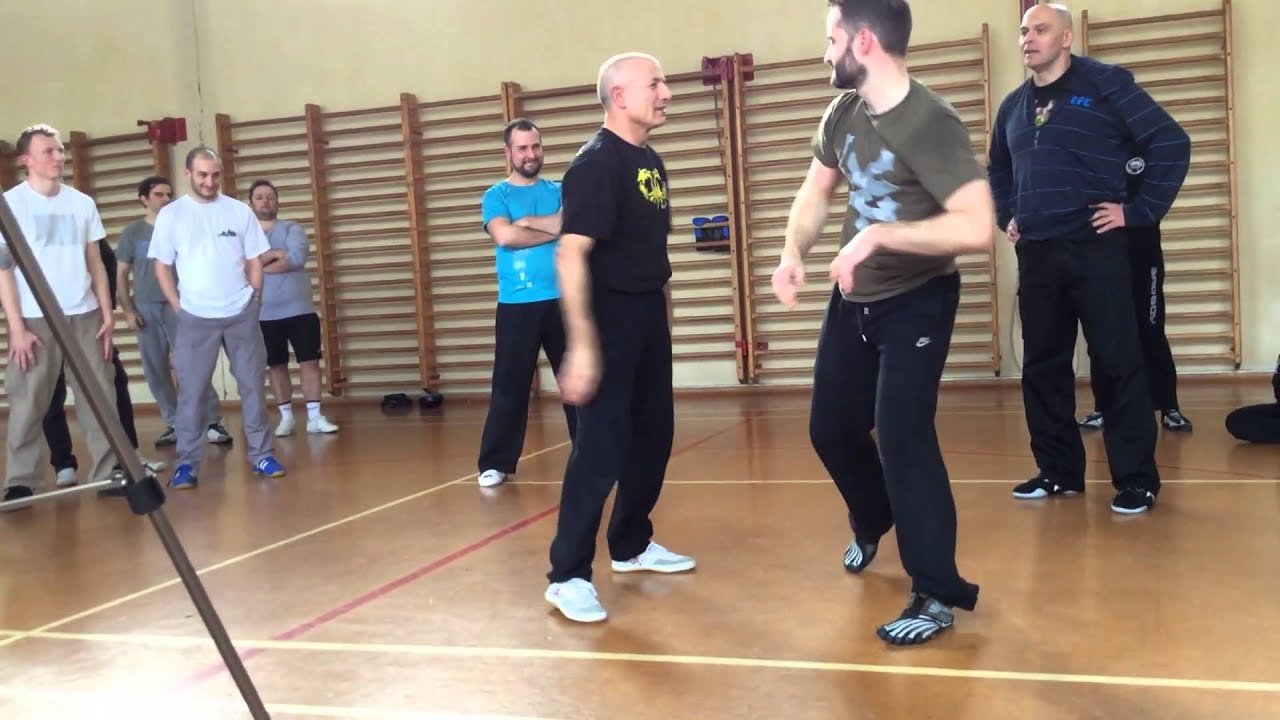 Alex Kostic Lausanne Seminar Homo Ludens Russian Martial Art Jenuary 2014