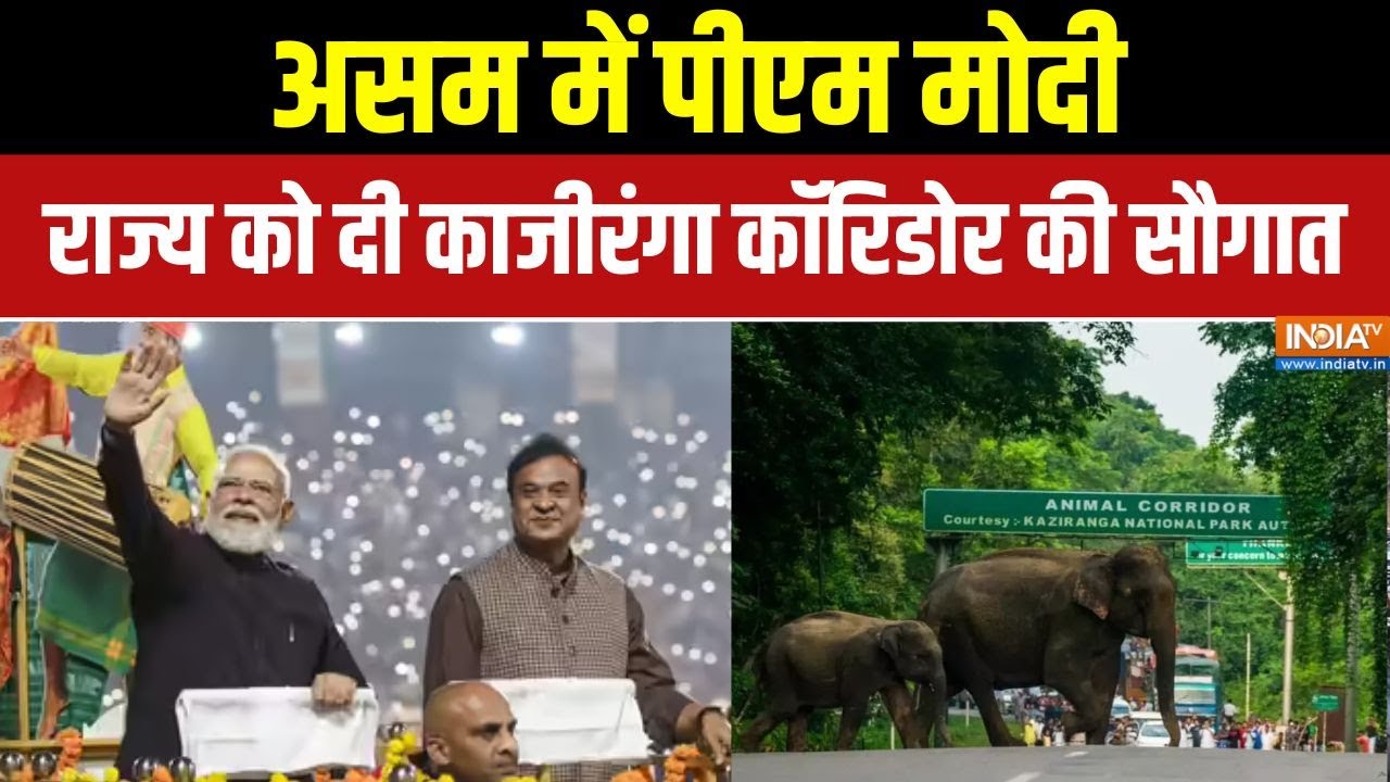 Assam में PM Modi, राज्य को दी Kaziranga Elevated Corridor की सौगात | INDIA TV