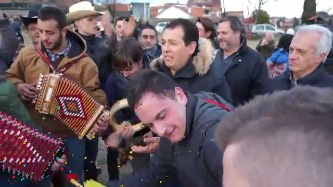 Torlupara 