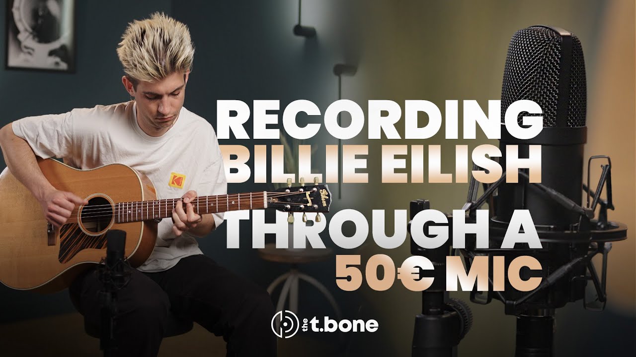 Birds of a feather recorded using a budget microphone | the t.bone