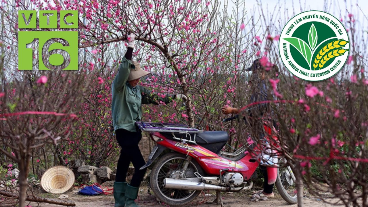 Bí quyết 