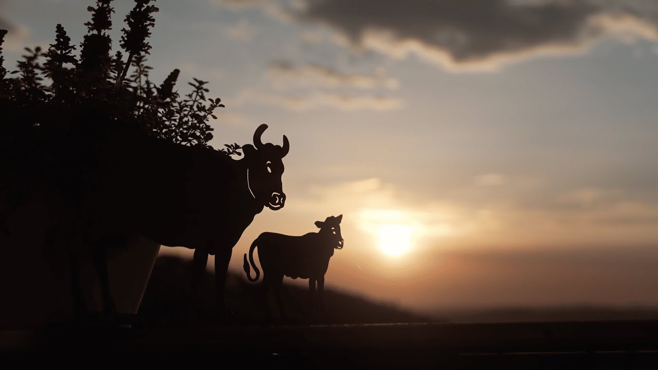 Zwichen Himmel und Tal - Reportage Alm