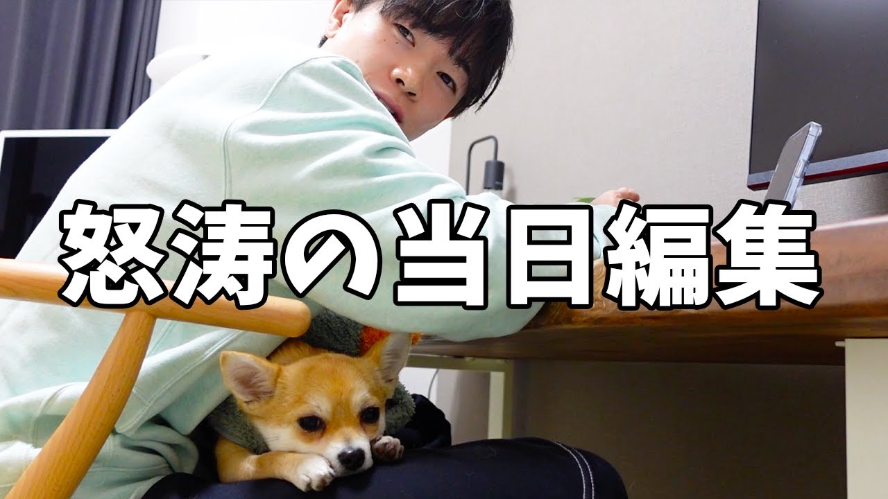 【100万回再生】愛犬とのリール当日編集に密着🦊