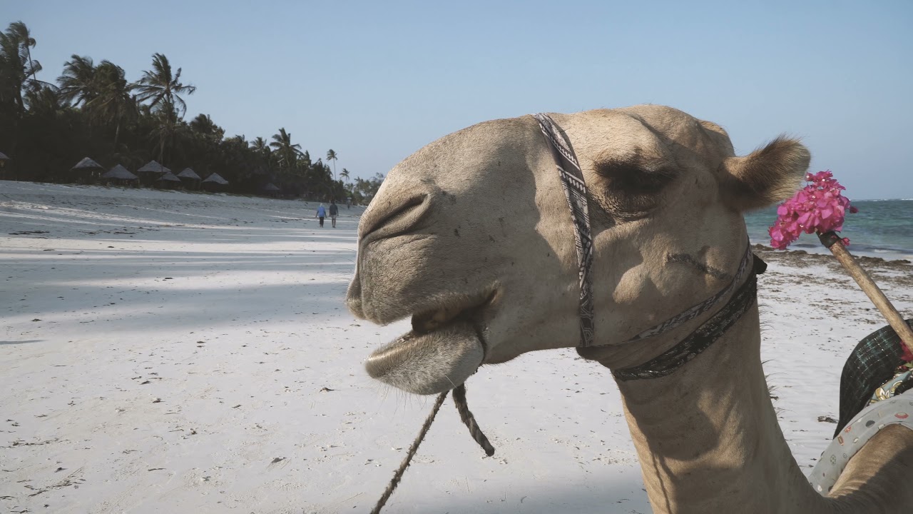 diani beach, kenya