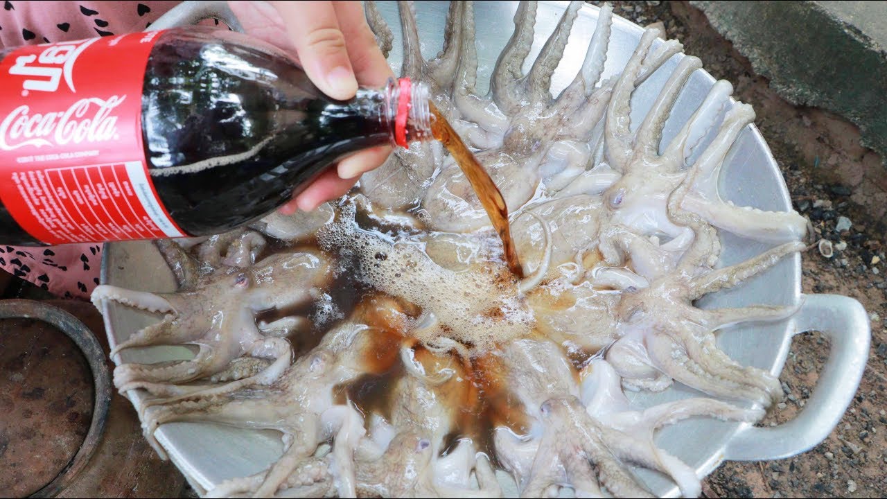 Yummy Octopus Cooking Cocacola - Octopus Roasted - Cooking With Sros
