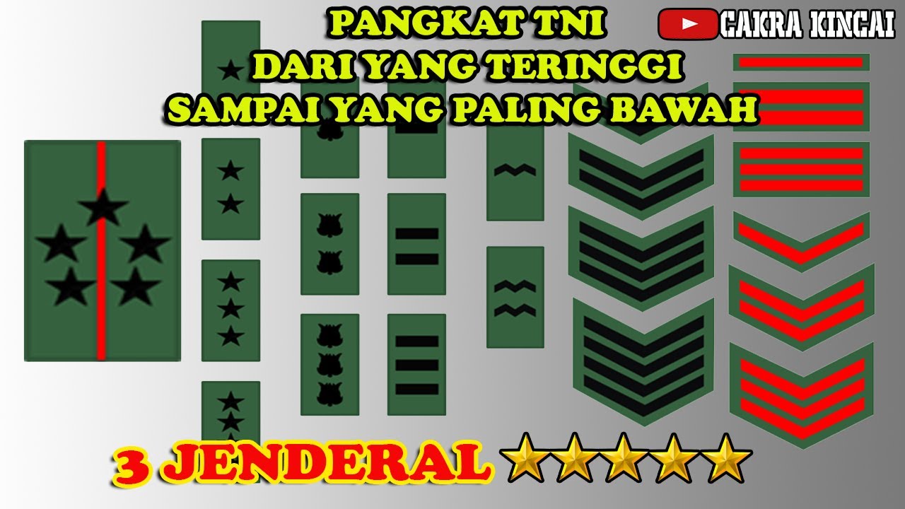 URUTAN PANGKAT TNI | MULAI DARI PRADA SAMPAI JENDERAL