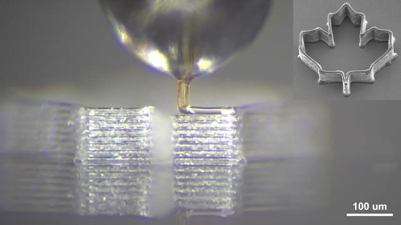 3D necroprinting: using mosquito proboscis as high-resolution nozzle