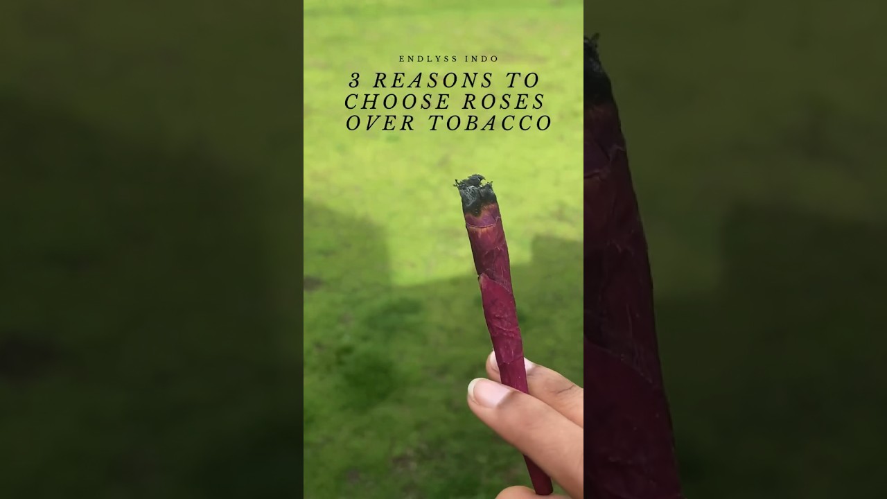 🌹 3 Reasons To Choose #Roses Over Tobacco ! #RoseBlunts 💨